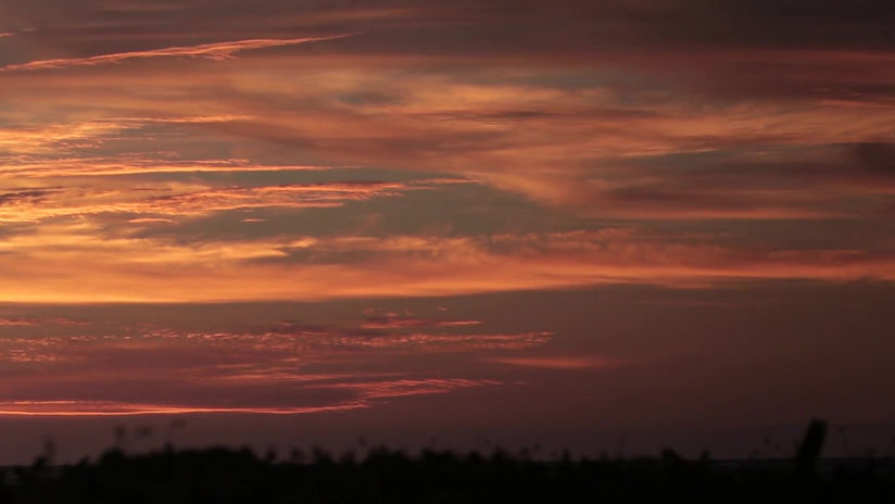 La Historia de Vanessa: Un Regalo de Esperanza